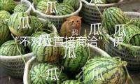 “不對(duì)立直接商洽” 伊朗軍方泄漏回信特朗普的細(xì)節(jié)內(nèi)容