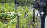 “兩高一部”發(fā)布《關(guān)于處理拒不執(zhí)行判定、裁決刑事案件若干問(wèn)題的定見(jiàn)》