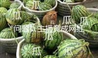 “問題”主播竟成網(wǎng)紅 違法犯罪閱歷豈能作流量暗碼