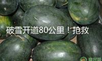 破雪開道80公里！搶救4歲幼童 高原上開出生命通道