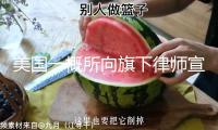 美國(guó)一概所向旗下律師宣布正告：運(yùn)用AI虛擬事例將被辭退
