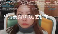 華為要賣100萬的轎車 對(duì)標(biāo)邁巴赫會(huì)是個(gè)好主意嗎？