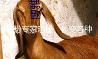 假扮專家明星、秒變各種身份 “智能體”會(huì)改動(dòng)日子嗎？