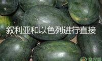 敘利亞和以色列進行直接商洽 推進達到平和協(xié)議