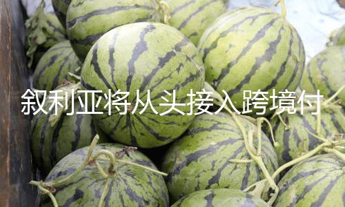 【蘑菇黑瓜吃料】