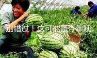 別錯(cuò)過(guò)！這可能是今年觀測(cè)水星東大距的最后良機(jī)