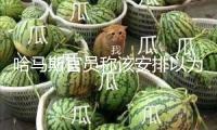 哈馬斯官員稱該安排以為以方已回絕相關?；鹛嶙h