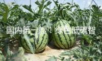 國內(nèi)第一艘！綠色低碳智能甲醇雙燃料集裝箱船今天交給
