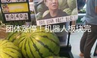 團體漲停！機器人板塊完全迸發(fā)！