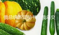 俄總統(tǒng)新聞秘書：俄烏交流?；饤l件清單是優(yōu)先作業(yè)