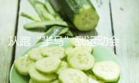 從跑“半馬”到運(yùn)動(dòng)會(huì) 機(jī)器人為啥都愛搞體育？