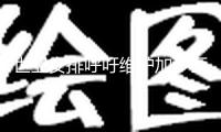 世衛(wèi)安排呼吁維護(hù)加沙醫(yī)療資源并趕快完成停火