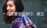 一月資管信任發(fā)行、建立市場(chǎng)規(guī)模下滑