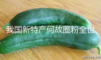 我國新特產(chǎn)何故圈粉全世界
