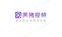 更多“洋面孔”參加春運大潮！長三角鐵路春運發(fā)送旅客9900萬人次