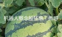 機(jī)器人概念股狂飆！傳感器成暗地“大明星”？三家公司弄清事務(wù)細(xì)節(jié)