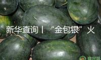 新華查詢(xún)丨“金包銀”火了，能定心“入”嗎？