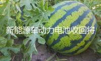 新能源車動(dòng)力電池收回將進(jìn)入高速“成長(zhǎng)期”