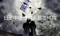 日子中緩慢鼻炎是怎樣構(gòu)成的