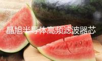 晶旭半導(dǎo)體高頻濾波器芯片項目進入全面收尾階段