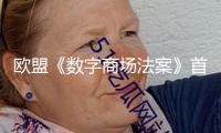 歐盟《數(shù)字商場法案》首開罰單 劍指美科技巨子獨占