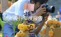 “歐洲央行年度報(bào)告：美元在全球外匯儲(chǔ)備中占比下降