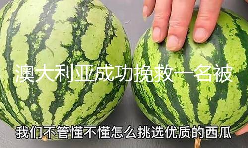 【黑料不打烊吃瓜】被困人員正順暢回來港口