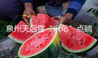 泉州天后宮“米龜”點(diǎn)睛！兩岸民眾“乞龜”祈福