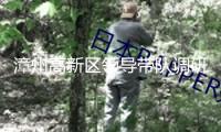 漳州高新區(qū)領(lǐng)導(dǎo)帶隊調(diào)研“開門紅”項目龍江年月暨景區(qū)景點建造作業(yè)