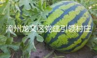 漳州龍文區(qū)黨建引領(lǐng)村莊復(fù)興促進(jìn)會(huì)健康發(fā)展作業(yè)推動(dòng)會(huì)舉行