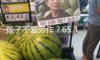 孩子不愛勞作？65.3%受訪家長以為一些家長主抓課業(yè)不讓勞作是主因