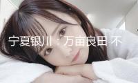 寧夏銀川：萬畝良田 不負春色