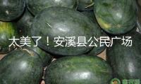 太美了！安溪縣公民廣場“花燈氣氛組”已就位