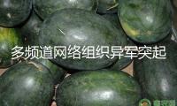 多頻道網(wǎng)絡(luò)組織異軍突起 怎樣避坑？怎么長效？
