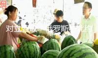 對(duì)立晉級(jí)？俄羅斯與北約在波羅的?！霸┘衣氛?專(zhuān)家：并非偶然