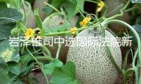 巖澤雄司中選國際法院新任院長