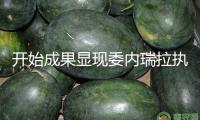 開始成果顯現(xiàn)委內(nèi)瑞拉執(zhí)政黨在議會選舉中取勝