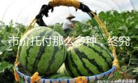 市價托付那么多種，終究怎樣用？