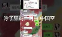 除了果蠅、渦蟲 中國空間站還有哪些“動物航天員”