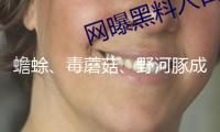 蟾蜍、毒蘑菇、野河豚成“隱形殺手” 專家提示：春季慎食野味