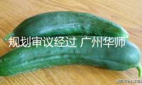 “規(guī)劃審議經(jīng)過 廣州華師石牌學(xué)校將煥新晉級