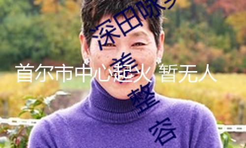 【在線吃瓜網(wǎng)】首爾市中述消防部分正在救活
