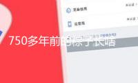 750多年前的粽子長啥樣？3D視角帶你看細(xì)節(jié)→