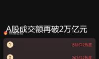 A股成交額再破2萬億元 農(nóng)業(yè)、航空板塊漲幅居前