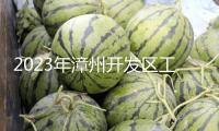 2023年漳州開發(fā)區(qū)工業(yè)開展項(xiàng)目建造這樣干！