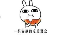21國(guó)聯(lián)合聲明：以色列有必要中止對(duì)伊朗敵對(duì)行動(dòng)