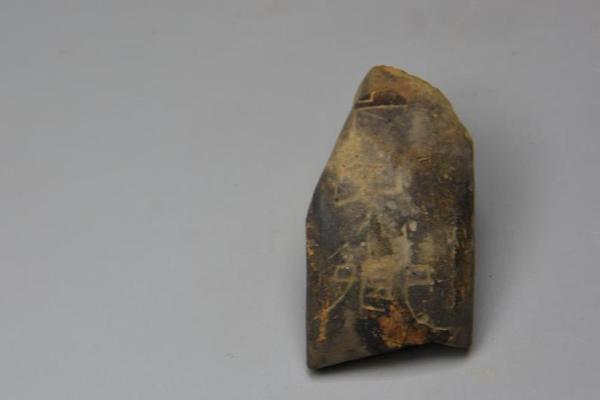 【51吃瓜網(wǎng)每日大賽今日大賽】依據(jù)公司戰(zhàn)略發(fā)展需要