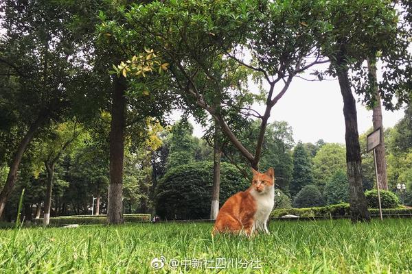 【51吃瓜網(wǎng)黑料爆料入口】