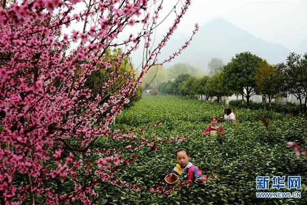 【黑料不打烊在線】臺灣勞保財(cái)政狀況惡化嚴(yán)峻