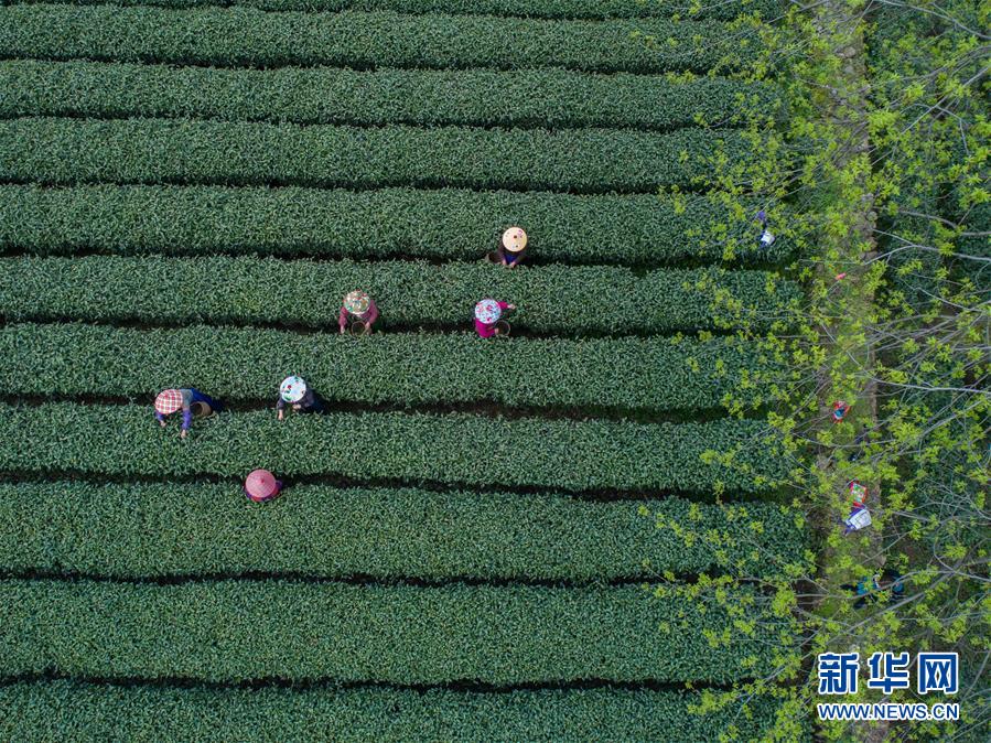 【91吃瓜黑網(wǎng)爆料】更好地服務(wù)高質(zhì)量開展
